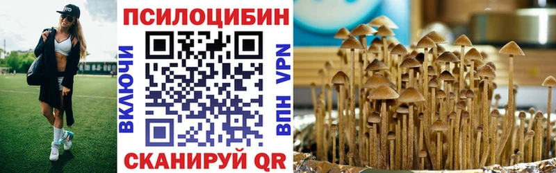 Псилоцибиновые грибы прущие грибы  Купить закладки  Арск 